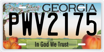 GA license plate PWV2175