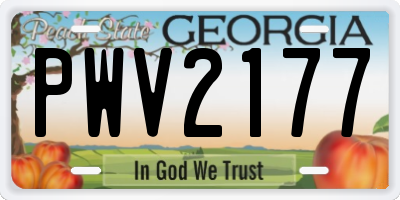 GA license plate PWV2177