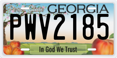 GA license plate PWV2185