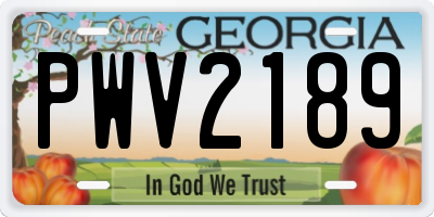 GA license plate PWV2189