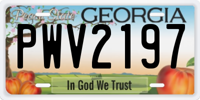 GA license plate PWV2197