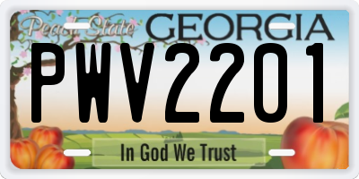 GA license plate PWV2201