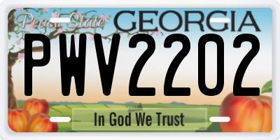 GA license plate PWV2202