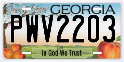 GA license plate PWV2203
