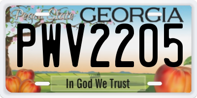 GA license plate PWV2205