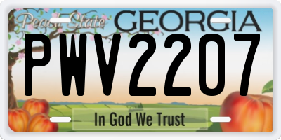 GA license plate PWV2207