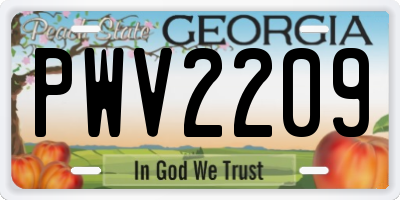GA license plate PWV2209