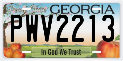 GA license plate PWV2213