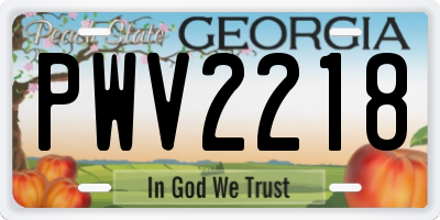 GA license plate PWV2218