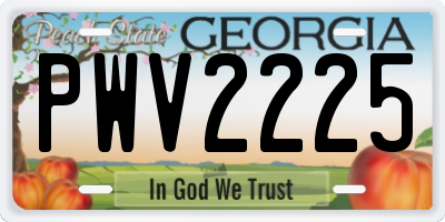 GA license plate PWV2225