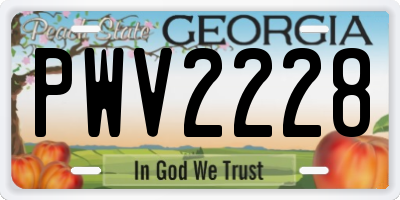 GA license plate PWV2228