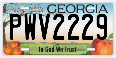 GA license plate PWV2229