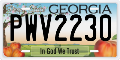 GA license plate PWV2230