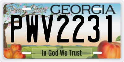 GA license plate PWV2231