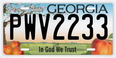 GA license plate PWV2233