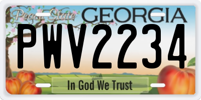 GA license plate PWV2234