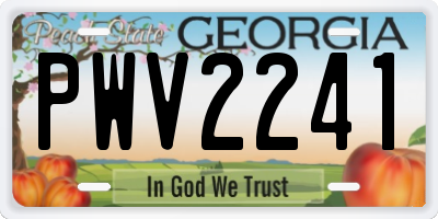 GA license plate PWV2241