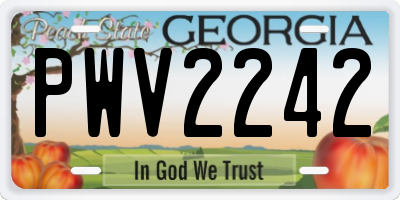 GA license plate PWV2242