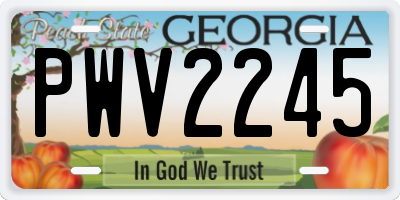 GA license plate PWV2245