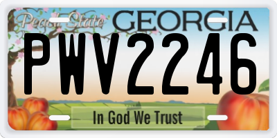 GA license plate PWV2246