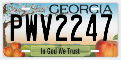GA license plate PWV2247