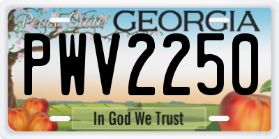GA license plate PWV2250