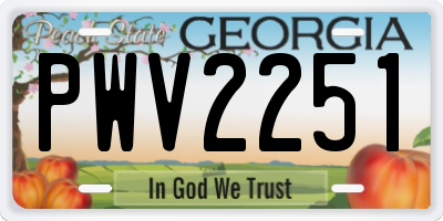 GA license plate PWV2251