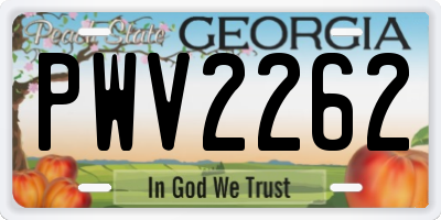 GA license plate PWV2262