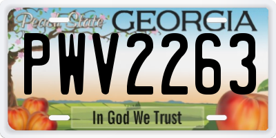 GA license plate PWV2263