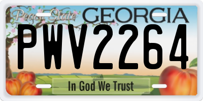 GA license plate PWV2264