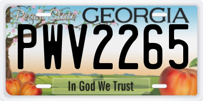 GA license plate PWV2265