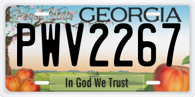 GA license plate PWV2267