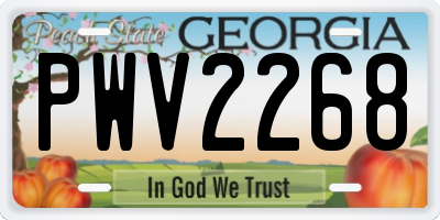 GA license plate PWV2268