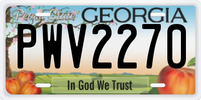 GA license plate PWV2270