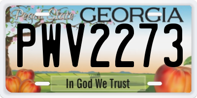 GA license plate PWV2273