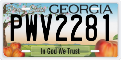 GA license plate PWV2281