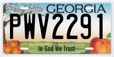 GA license plate PWV2291