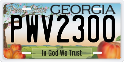 GA license plate PWV2300