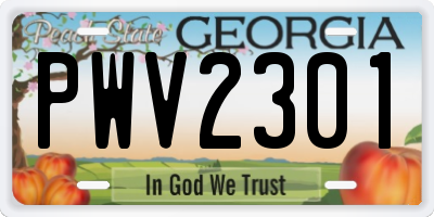 GA license plate PWV2301