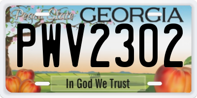 GA license plate PWV2302