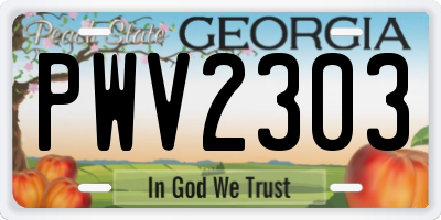 GA license plate PWV2303