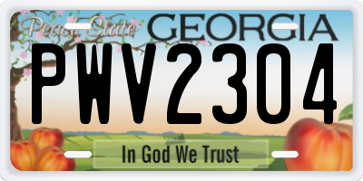 GA license plate PWV2304
