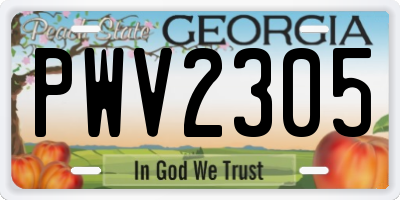 GA license plate PWV2305