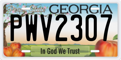 GA license plate PWV2307
