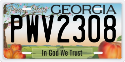 GA license plate PWV2308