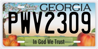 GA license plate PWV2309