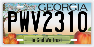 GA license plate PWV2310