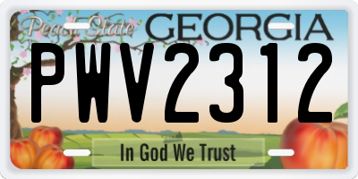 GA license plate PWV2312