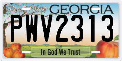 GA license plate PWV2313