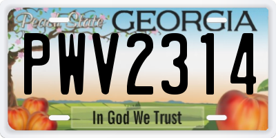 GA license plate PWV2314